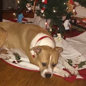 Meet your Posher, Paula